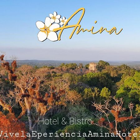 Amina Inn Flores Exterior photo