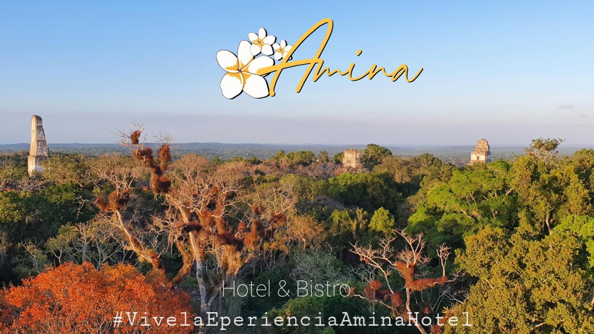 Amina Inn Flores Exterior photo