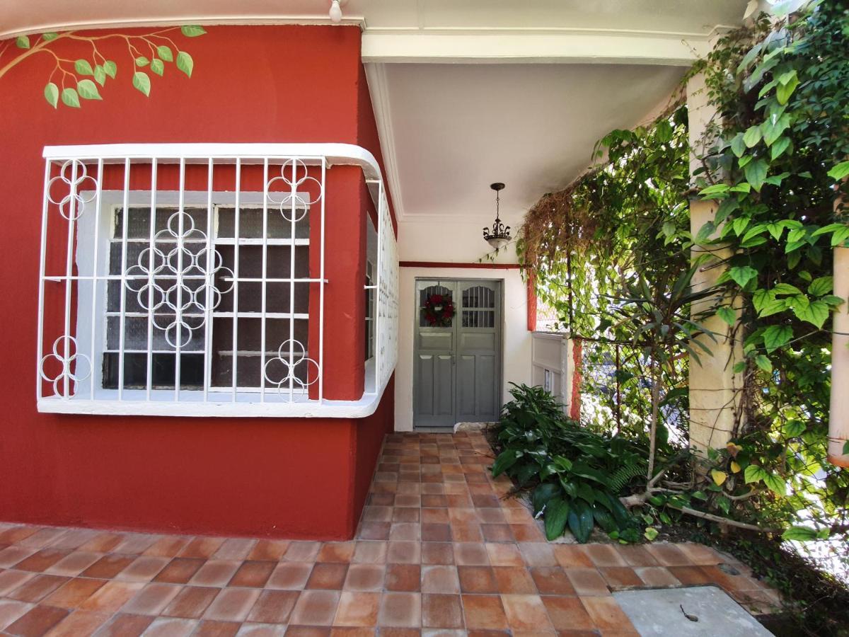 Amina Inn Flores Exterior photo